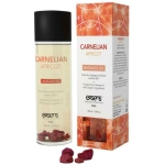 Exsens Of Paris Organic Massage Oil Carnelian Apricot with Stones