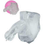 Huge Penis Ice Luge Freeze At Home