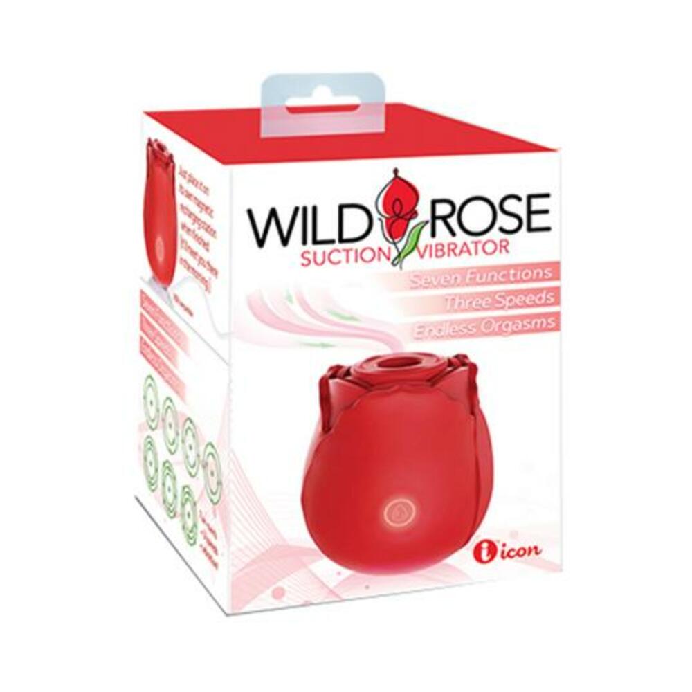 Classic Wild Rose