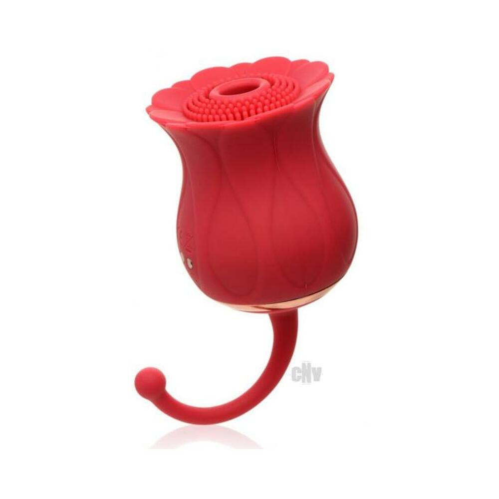 Bloomgasm Royalty Rose Red