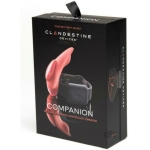 The Companion Remote Control Panty Vibe - Image 2