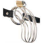 Fetish Fantasy The Prisoner Black Cock Cage