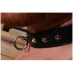Rouge O-ring Studded Collar (thinner) Black - Image 3