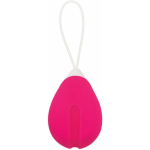 Evolved Rechargeable Egg R/c Silicone Pink