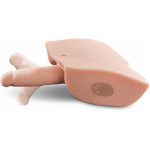 PDX Male Dirty Talk Interactive Fuck Him Silly - Image 2