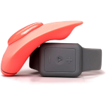 The Companion Remote Control Panty Vibe