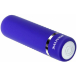 Evolved Petite Passion Rechargeable